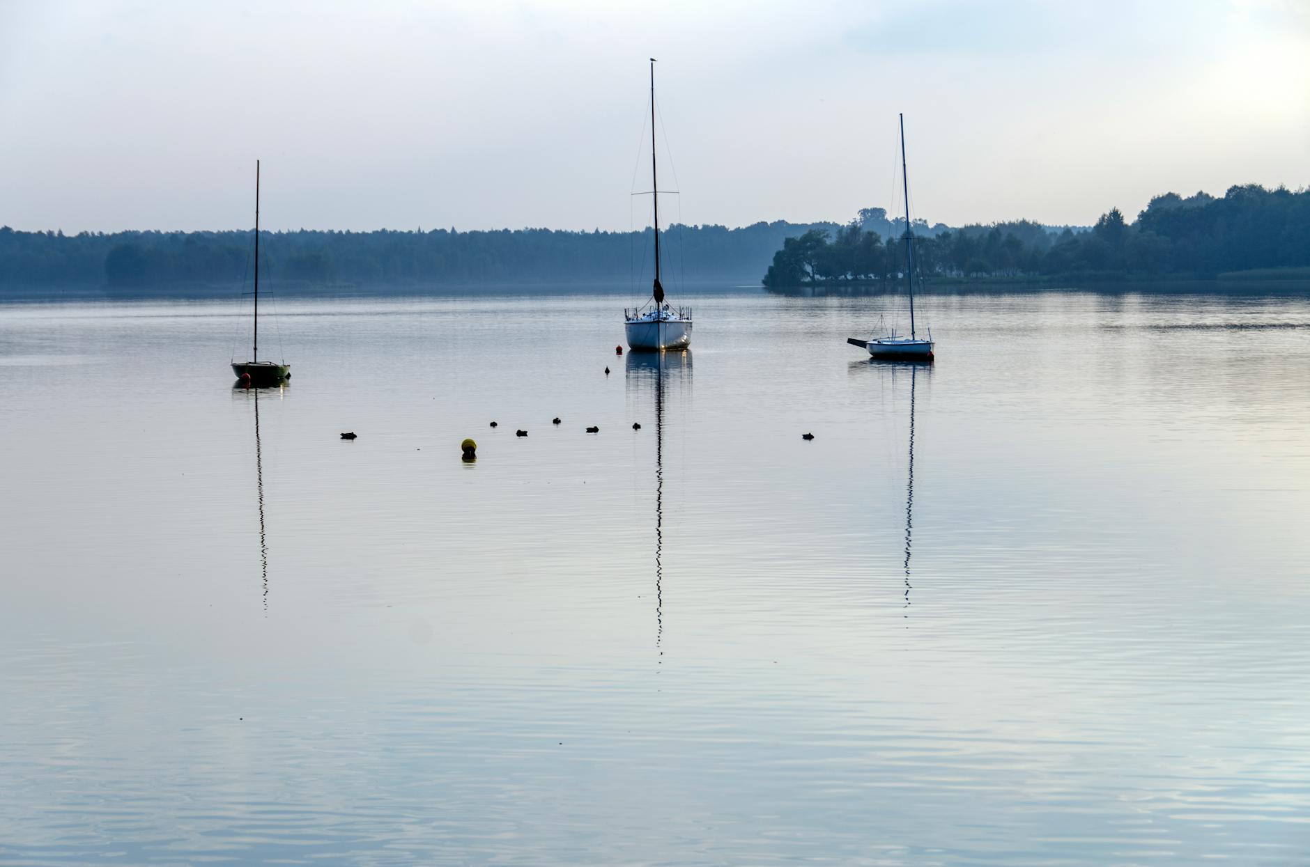 PKM Tychy z 31 mln zł na nowe autobusy. Czas na ekologiczny transport!