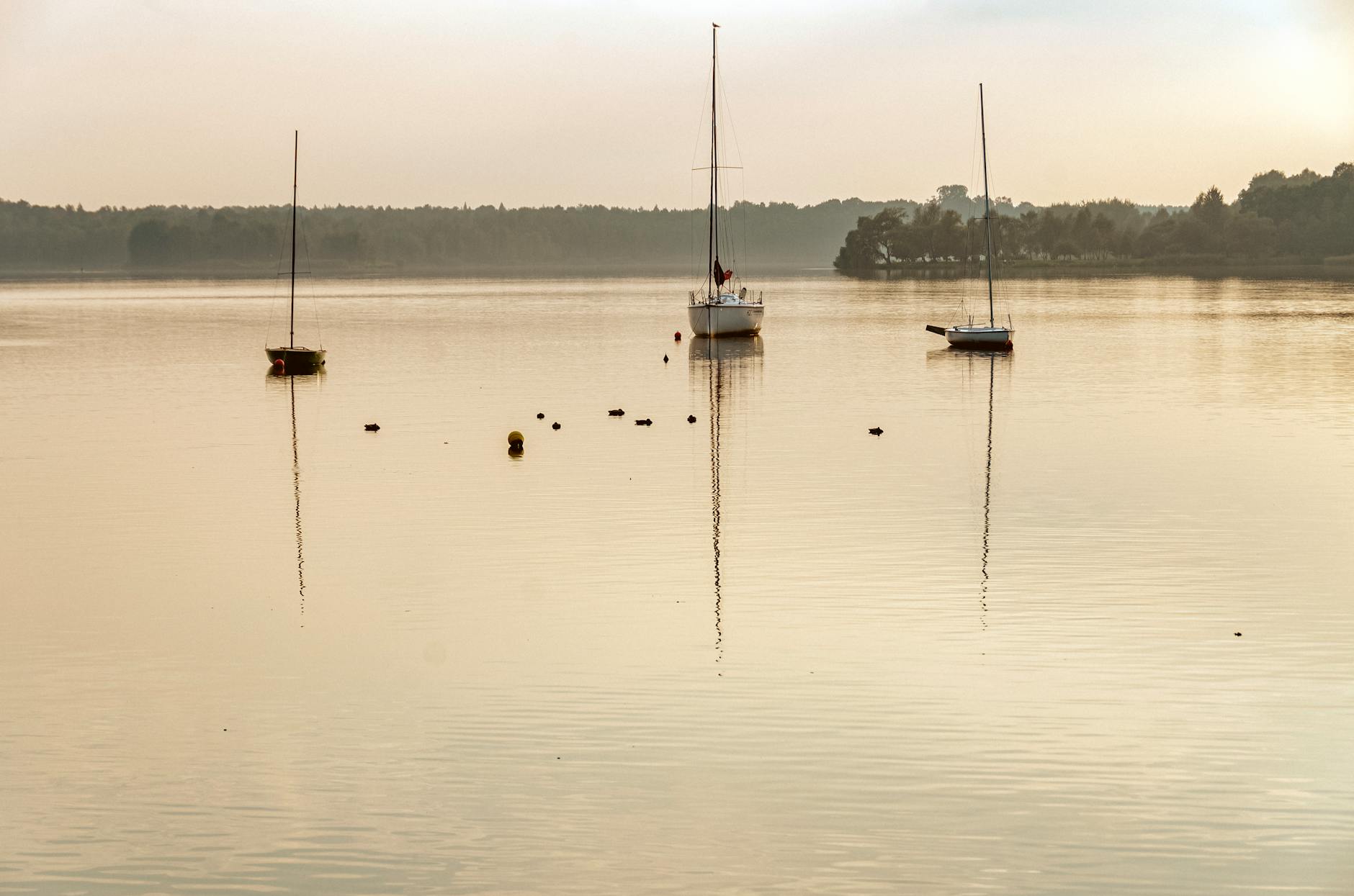 Targi pracy w Tychy – szansa na pracę dla mieszkańców