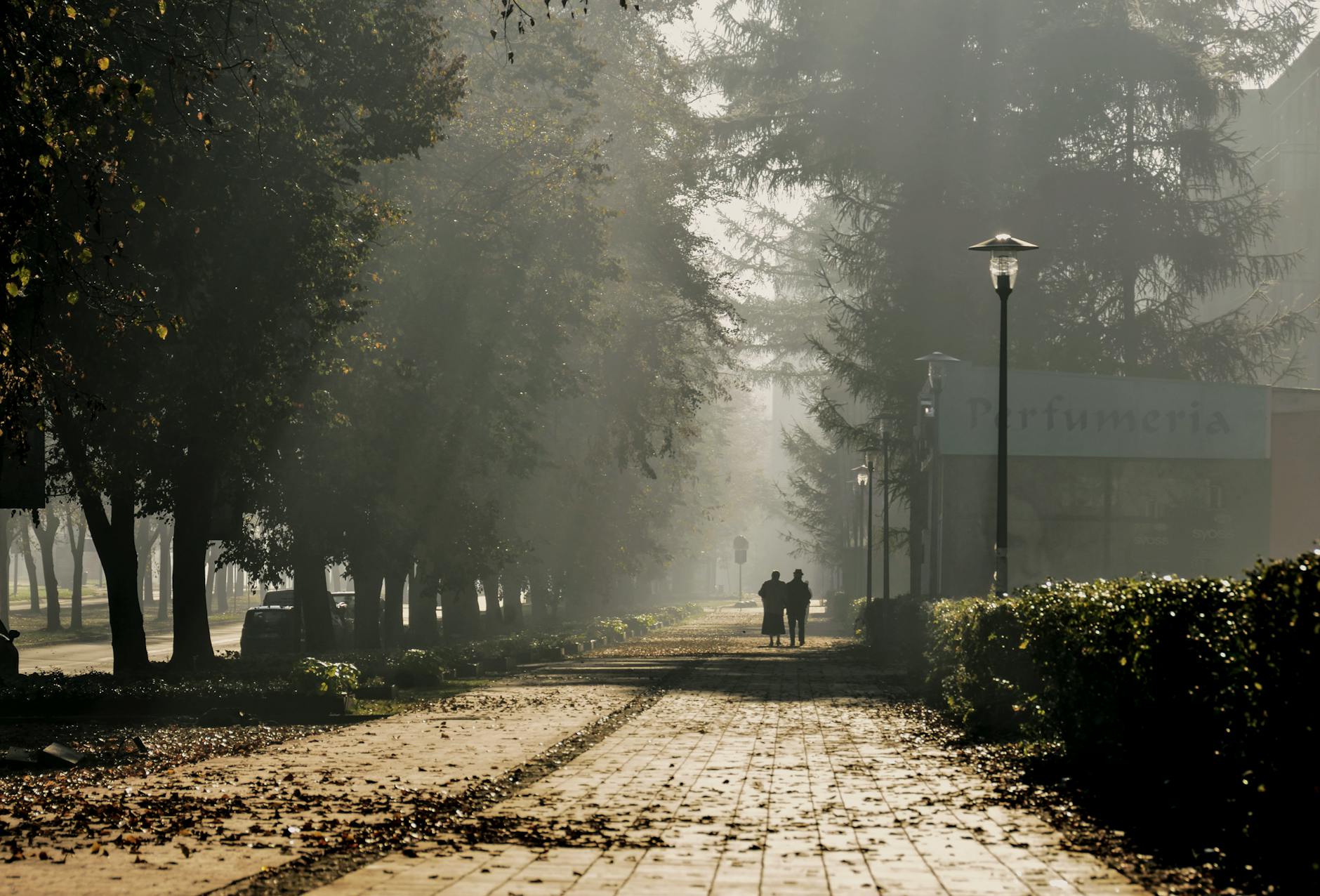 Tychy: Pogoda na 10 dni i tajemniczy projekt „Hail Mary”